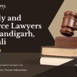 Family and Divorce Lawyers in Chandigarh, Mohali Blog banners (29)
