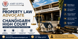 Best Property Law Advocate in Chandigarh High Court
